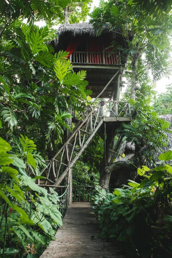 Dominican Tree House Village El Valle ภายนอก รูปภาพ