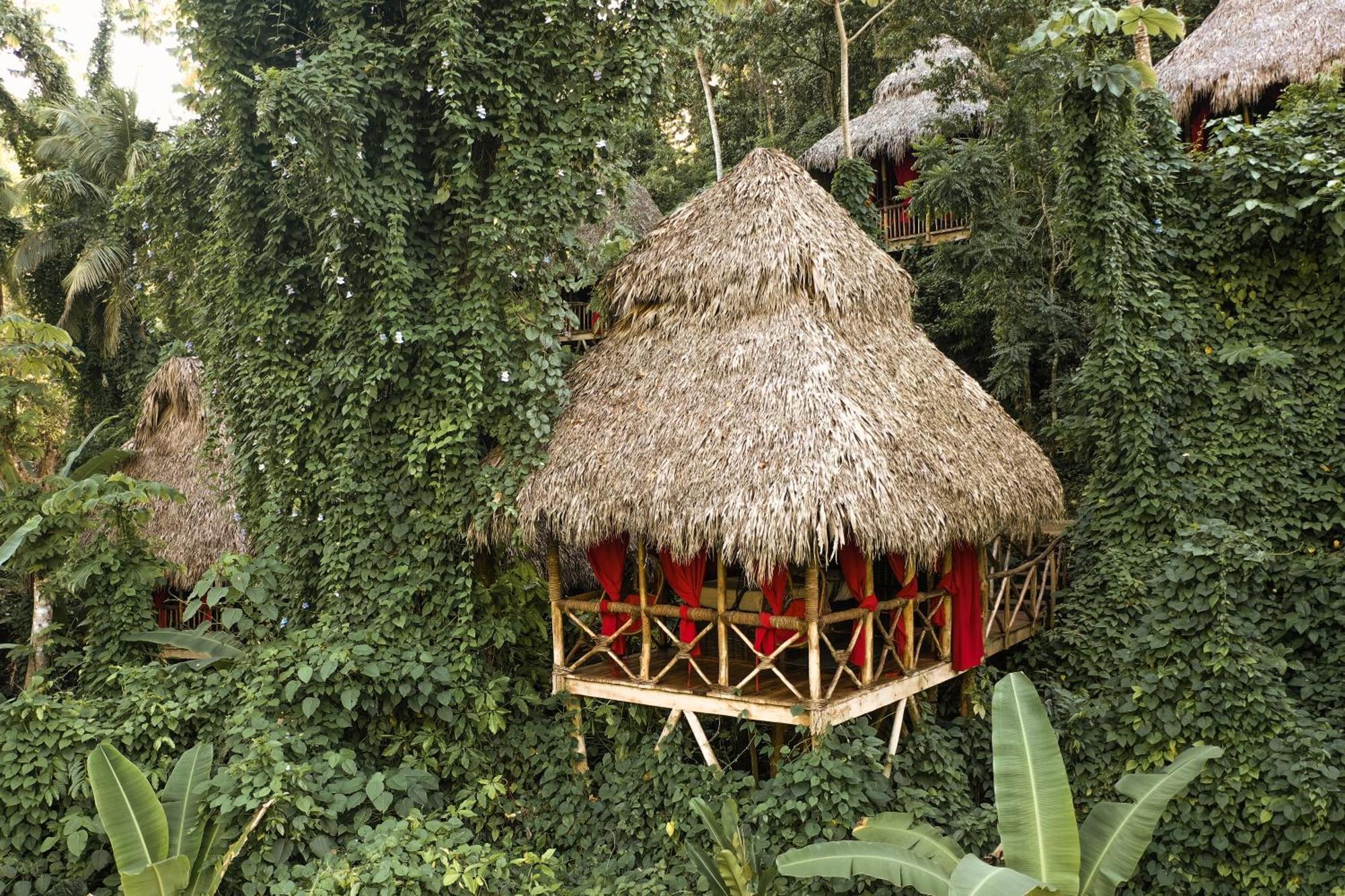 Dominican Tree House Village El Valle ภายนอก รูปภาพ